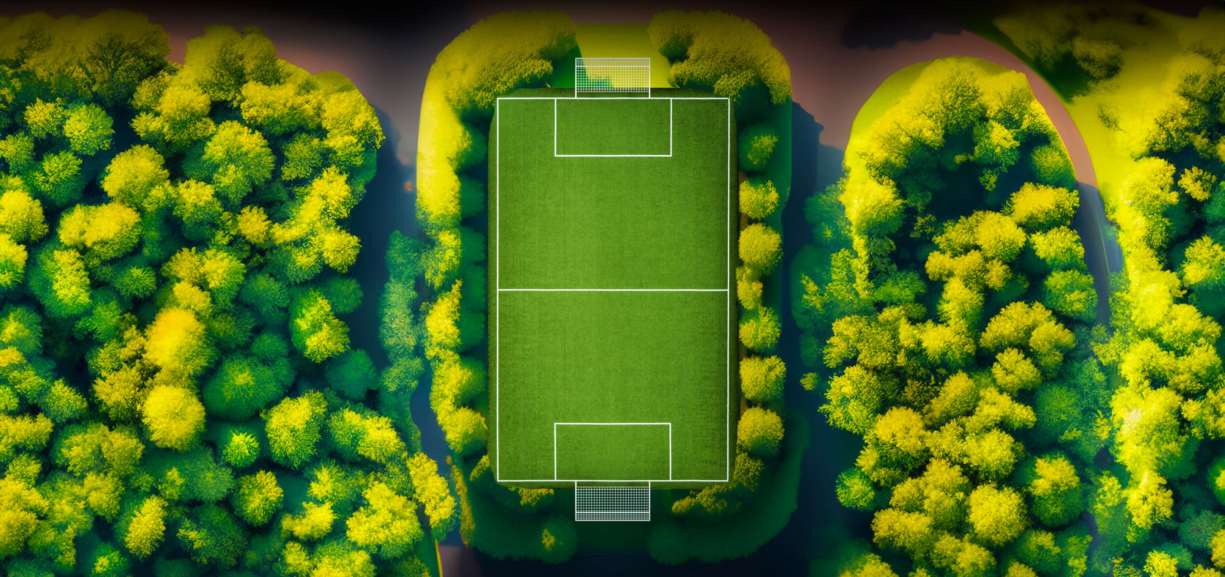 teren de fotbal inconjurat de copaci